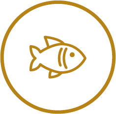 Category