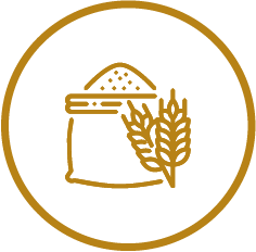 Category